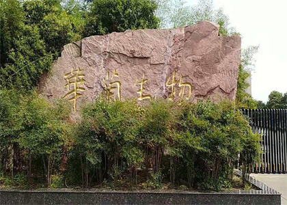上門培訓(xùn)大流量塵埃粒子計(jì)數(shù)器華蘭生物